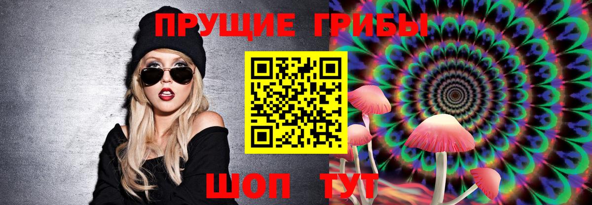 Камень-на-Оби  Псилоцибиновые грибы Psilocybe  Вход с VPN  Псилоцибиновые грибы Psilocybe 