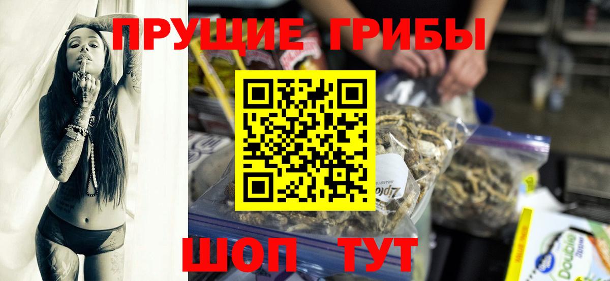 Псилоцибиновые грибы мицелий Камень-на-Оби